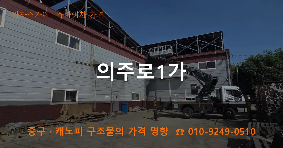 중구 의주로1가 스카이차 가격 작업