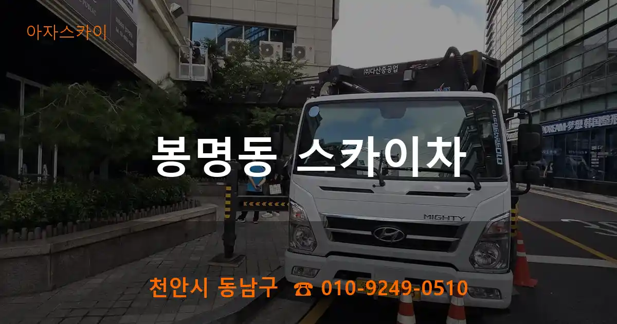 천안시 동남구 봉명동 스카이차