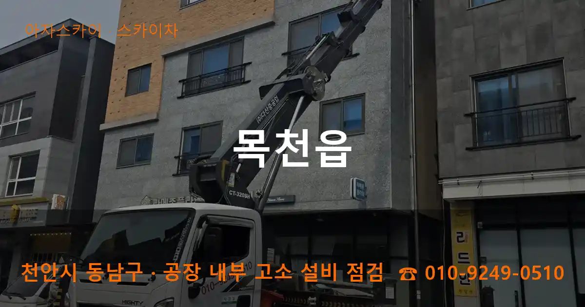 천안시 동남구 목천읍 스카이차 작업