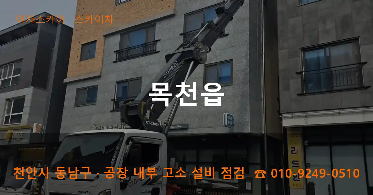 천안시 동남구 목천읍 스카이차 작업