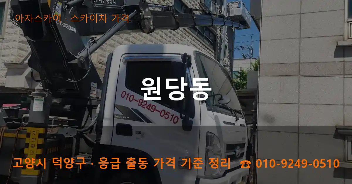 고양 덕양구 원당동 스카이차 가격 작업