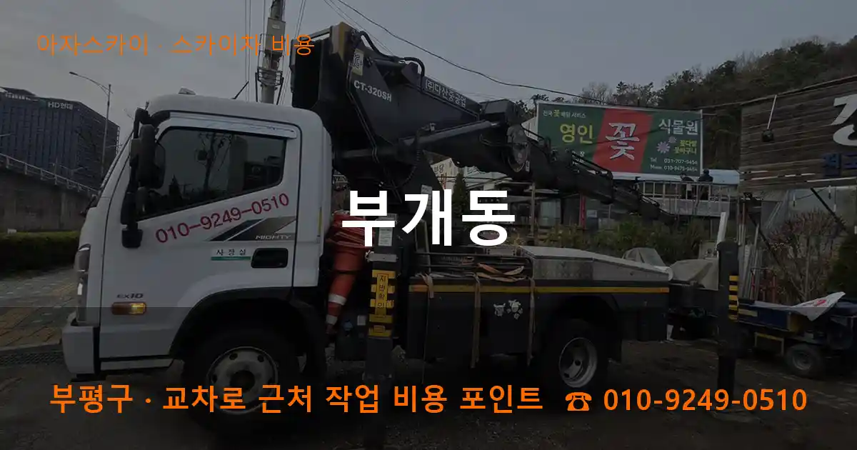 부평구 부개동 스카이차 비용 작업