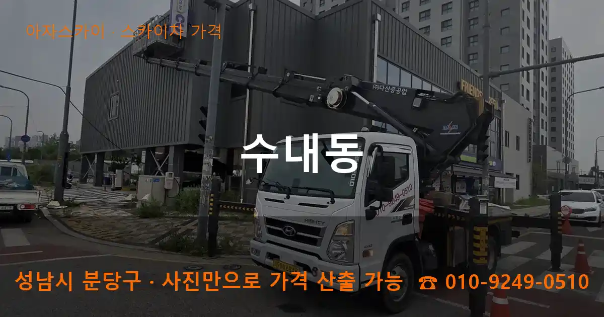 성남 분당구 수내동 스카이차 가격 작업