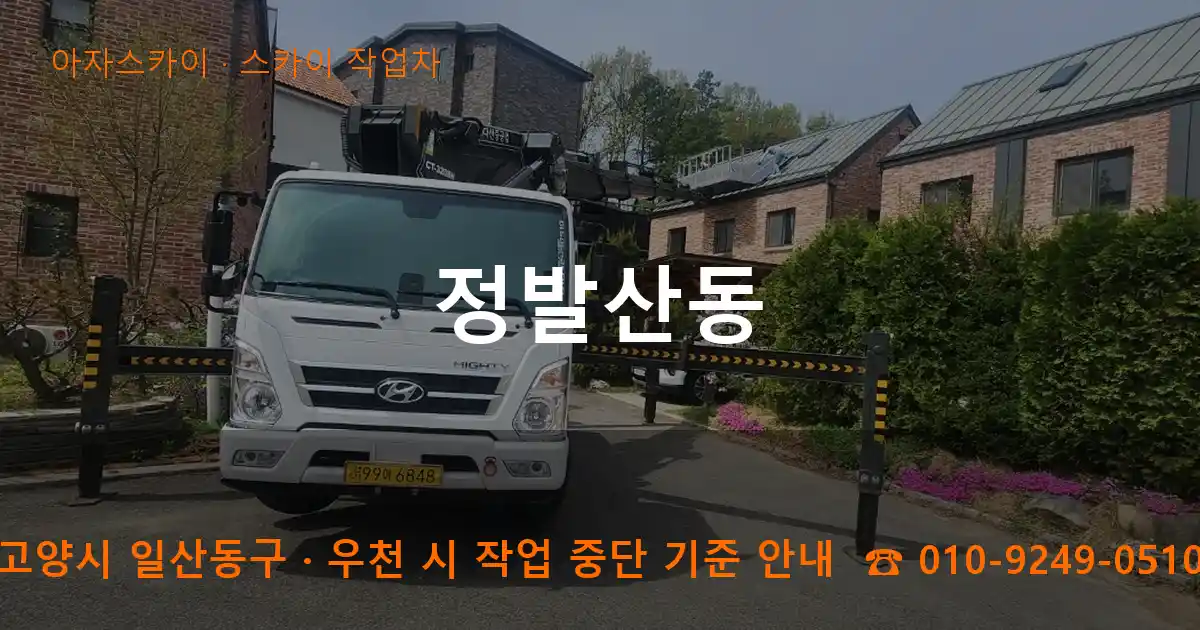 고양 일산동구 정발산동 스카이 작업차 작업