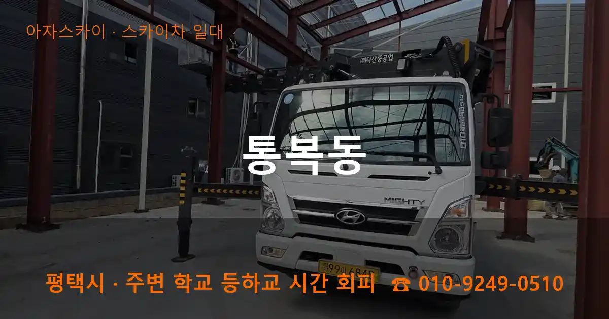 평택시 통복동 스카이차 출장 작업