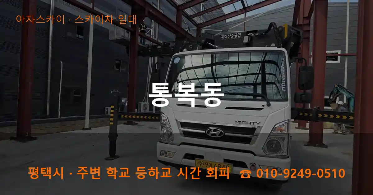 평택 통복동 스카이차 일대 작업