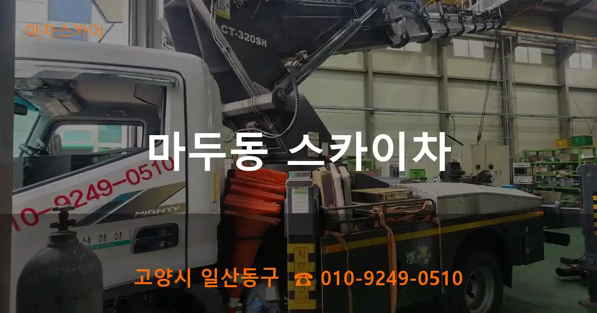 고양시 일산동구 마두동 스카이차