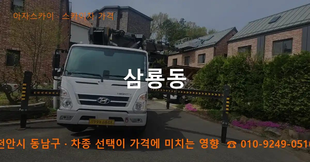 천안시 동남구 삼룡동 스카이차 가격 작업