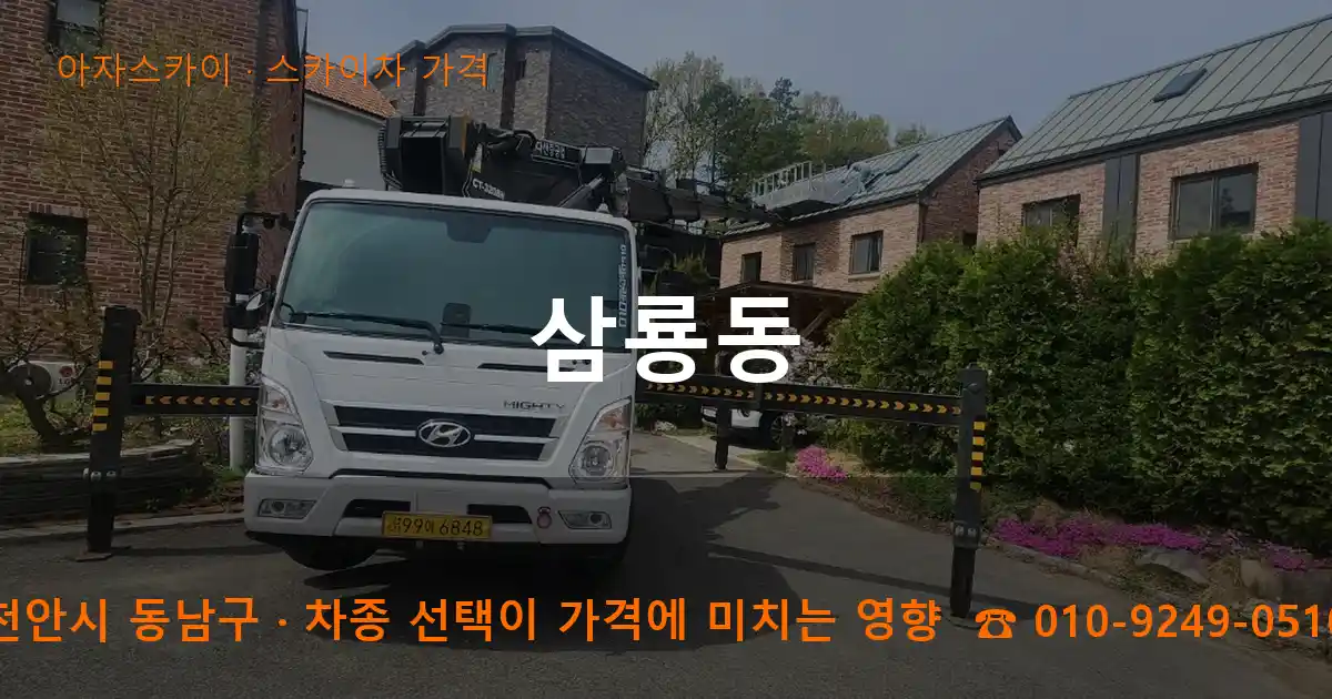 천안시 동남구 삼룡동 스카이차 가격 작업