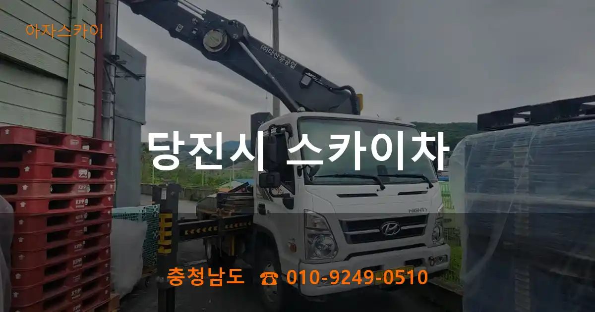 당진시 스카이차