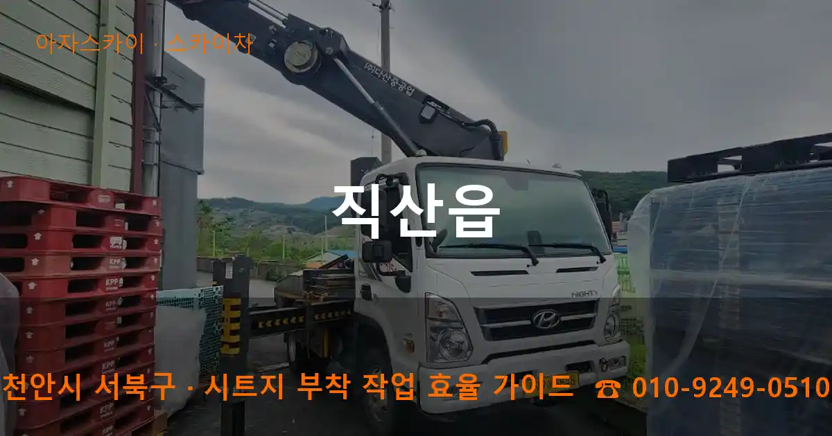 천안 서북구 직산읍 스카이차 작업