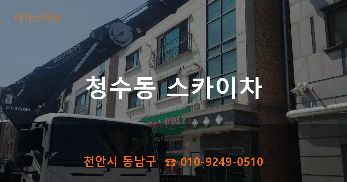 천안시 동남구 청수동 스카이차