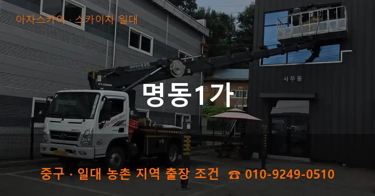 중구 명동1가 스카이차 출장 작업