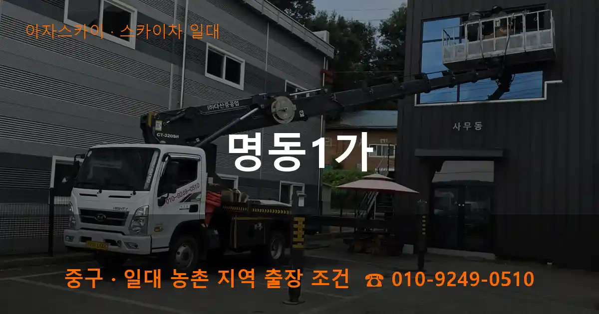 중구 명동1가 스카이차 일대 작업