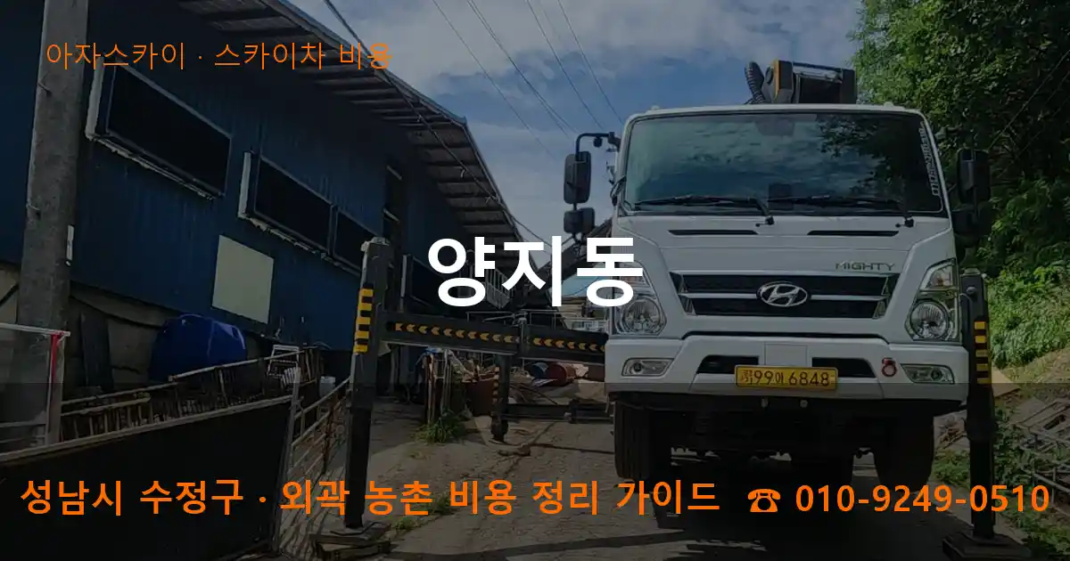 성남 수정구 양지동 스카이차 비용 작업
