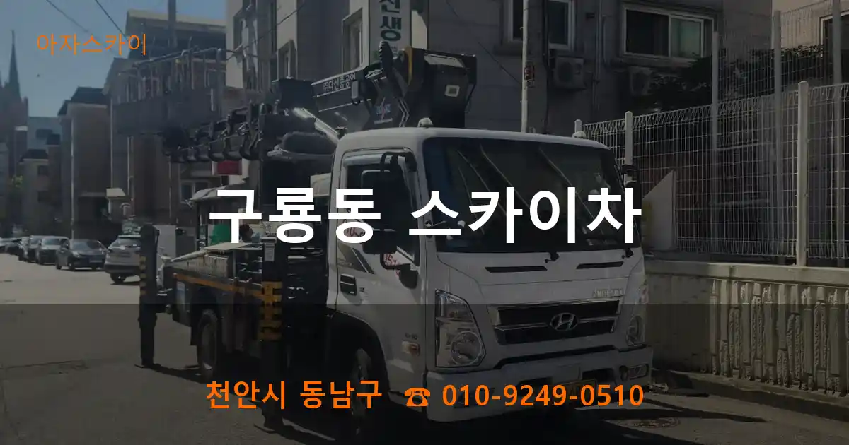 천안시 동남구 구룡동 스카이차