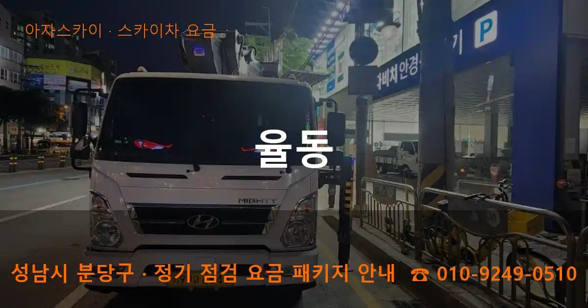 성남시 분당구 율동 스카이차 요금 작업