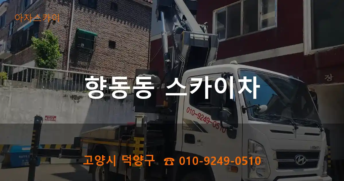 고양시 덕양구 향동동 스카이차