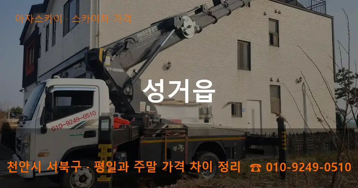 천안 서북구 성거읍 스카이차 가격 작업