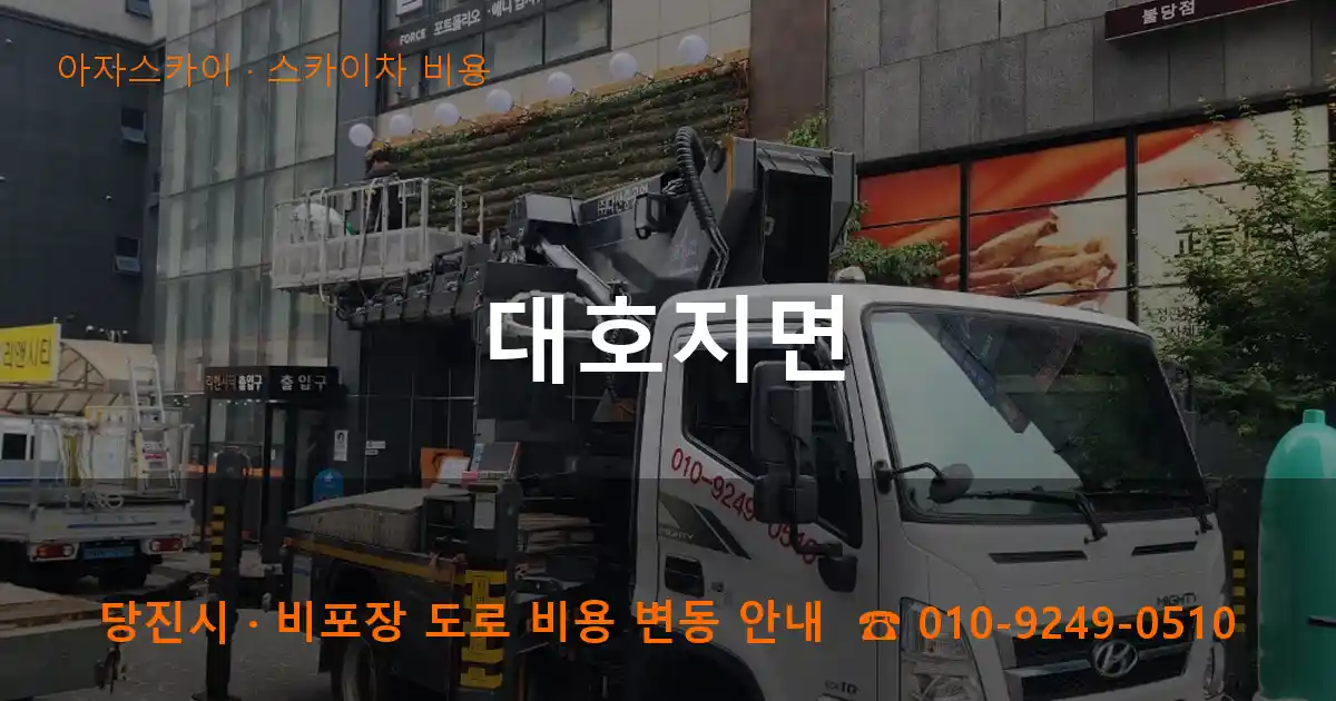 당진 대호지면 스카이차 비용 작업