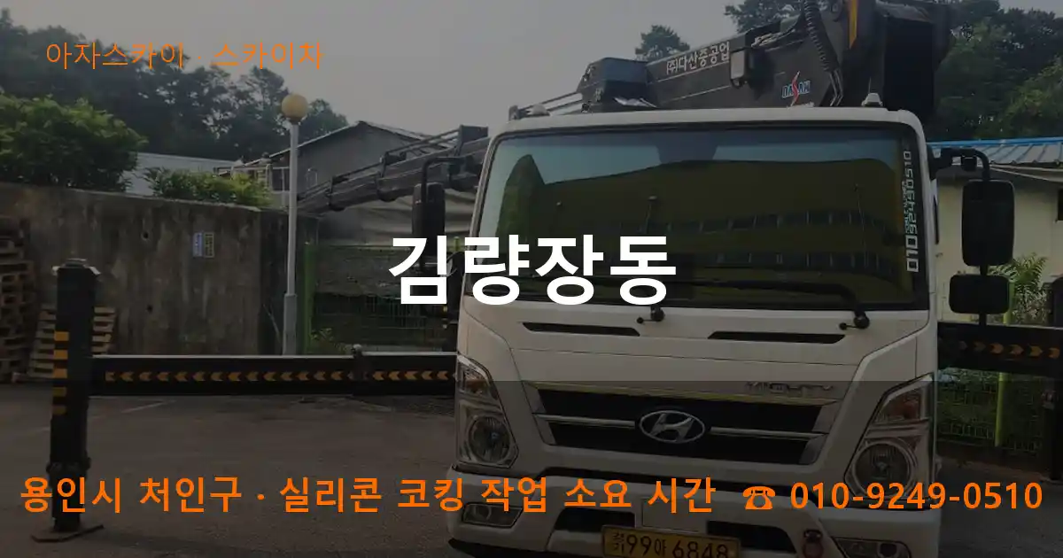 용인시 처인구 김량장동 스카이차 작업