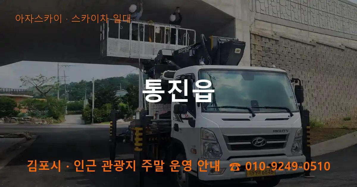 김포시 통진읍 스카이차 출장 작업