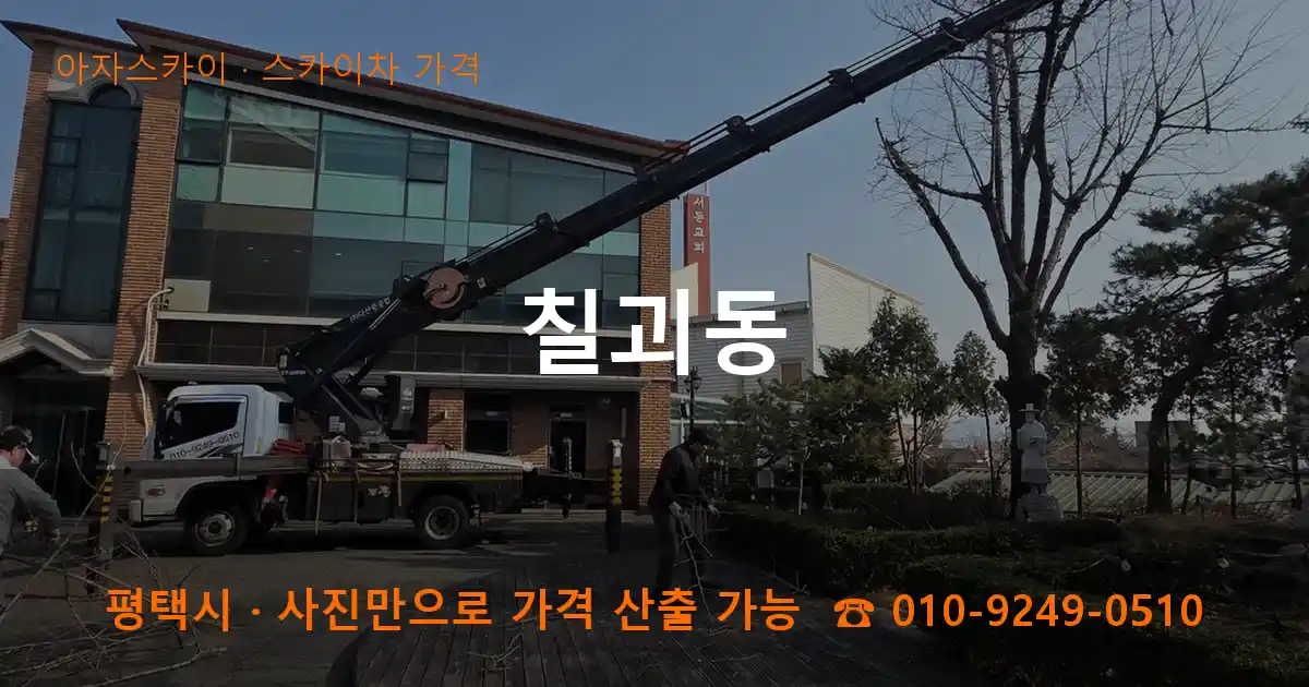 평택 칠괴동 스카이차 가격 작업