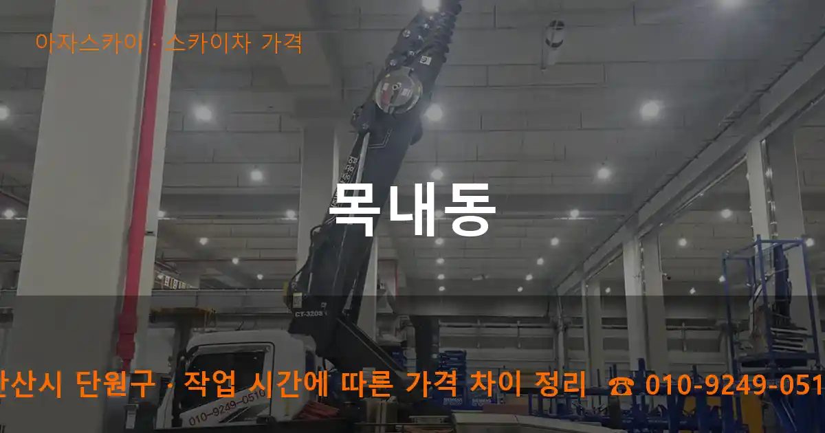 안산시 단원구 목내동 스카이차 가격 작업