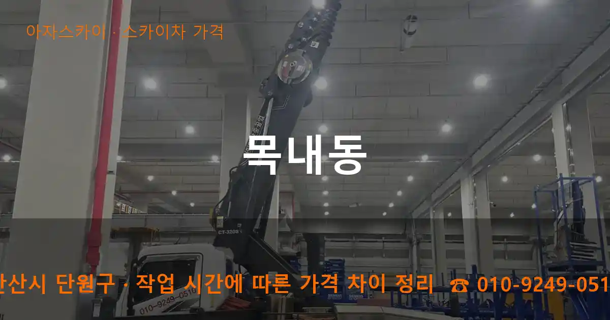 안산시 단원구 목내동 스카이차 가격 작업