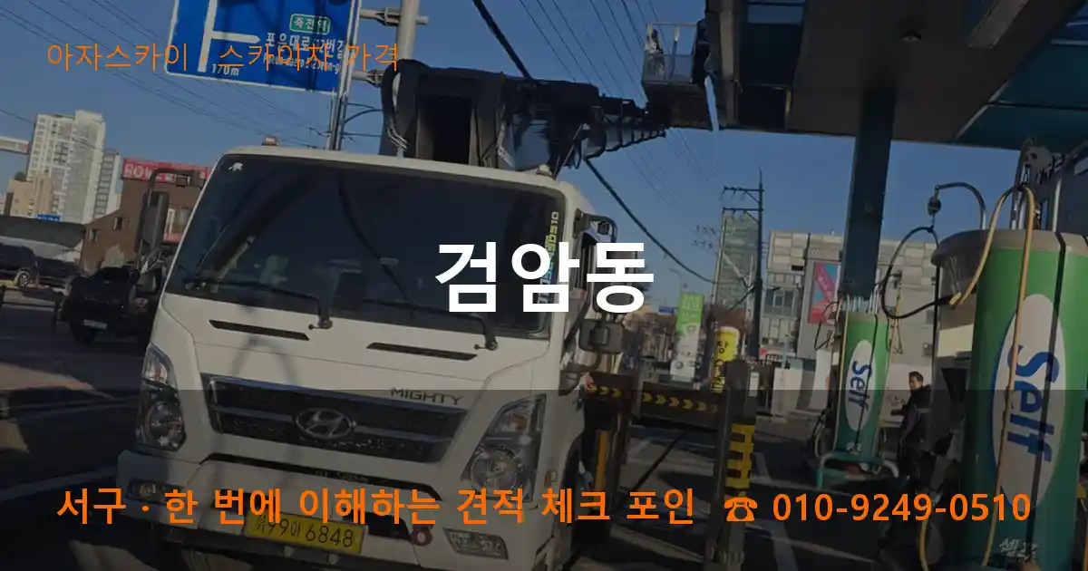 서구 검암동 스카이차 가격 작업