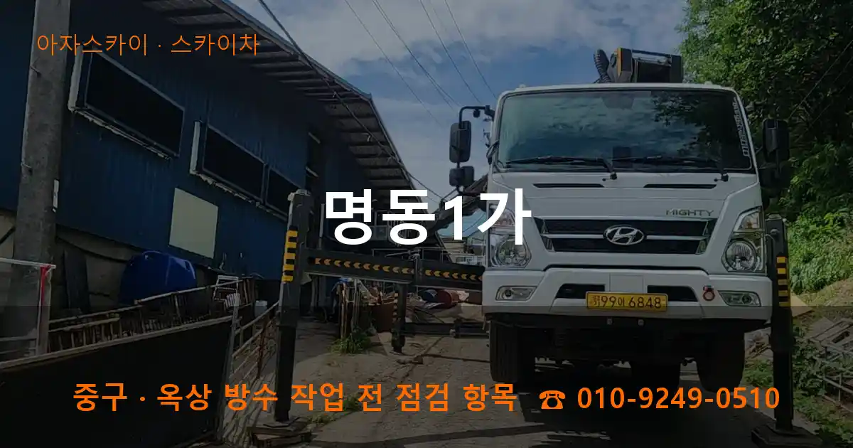 중구 명동1가 스카이차 작업