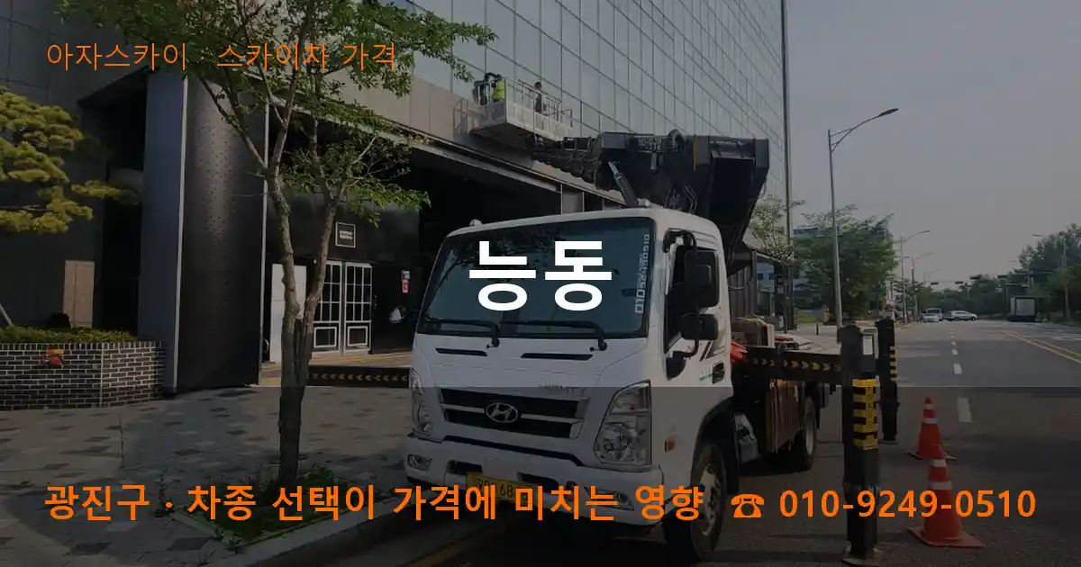 광진구 능동 스카이차 가격 작업