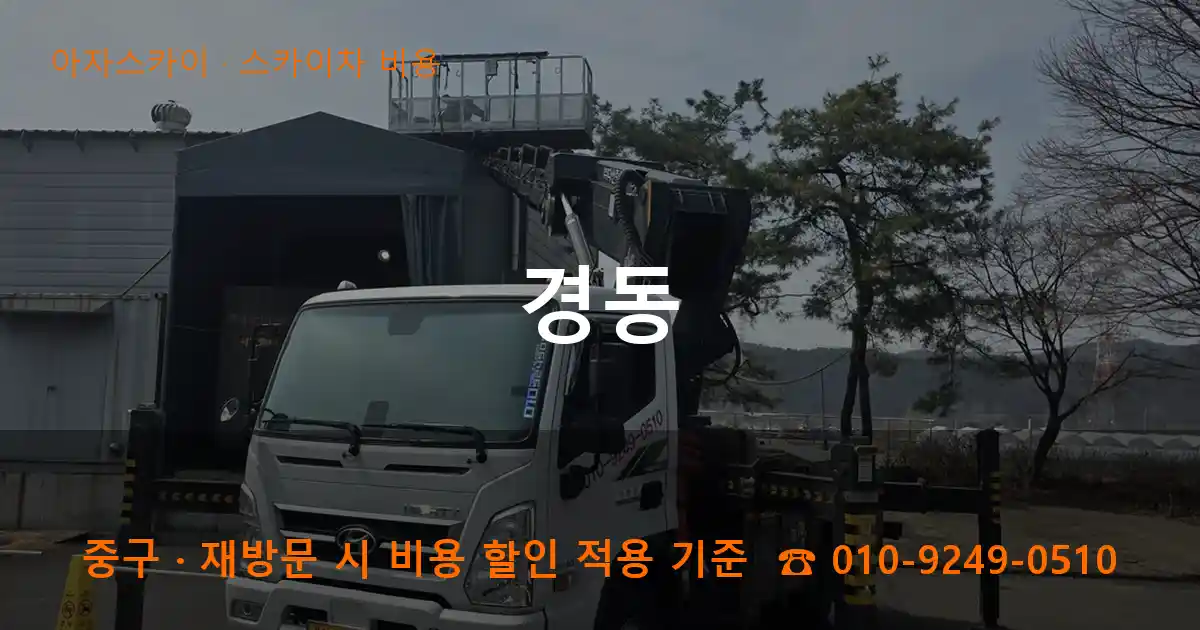 중구 경동 스카이차 비용 작업