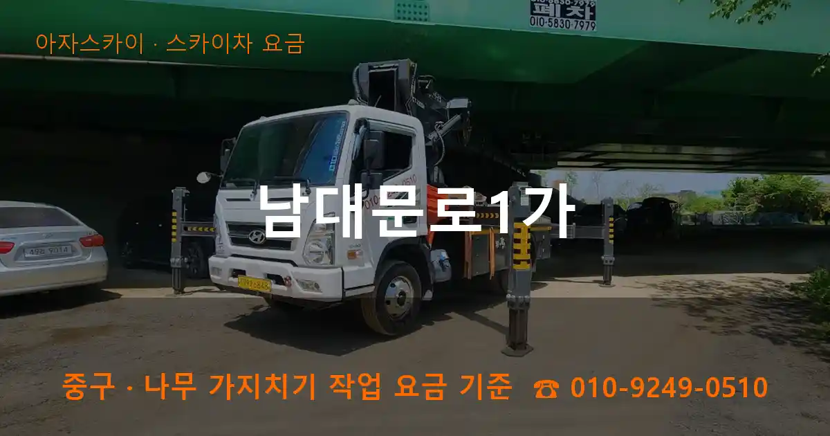 중구 남대문로1가 스카이차 요금 작업