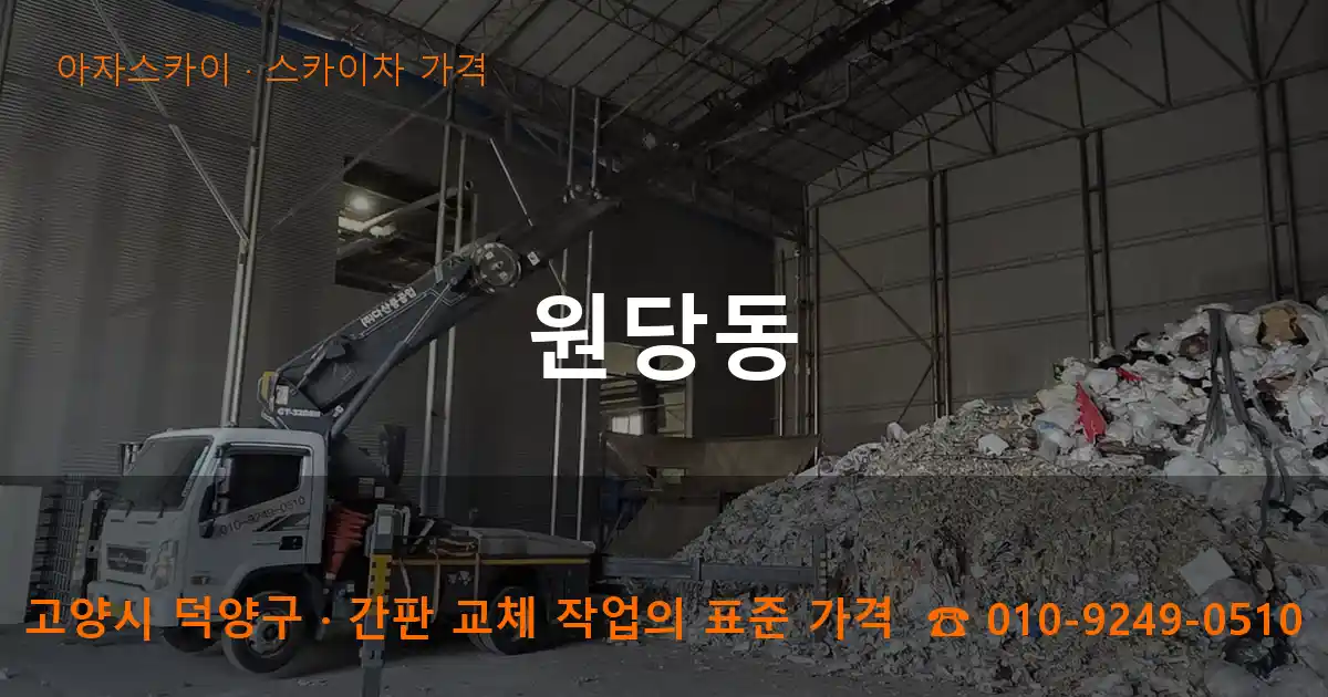 고양시 덕양구 원당동 스카이차 가격 작업