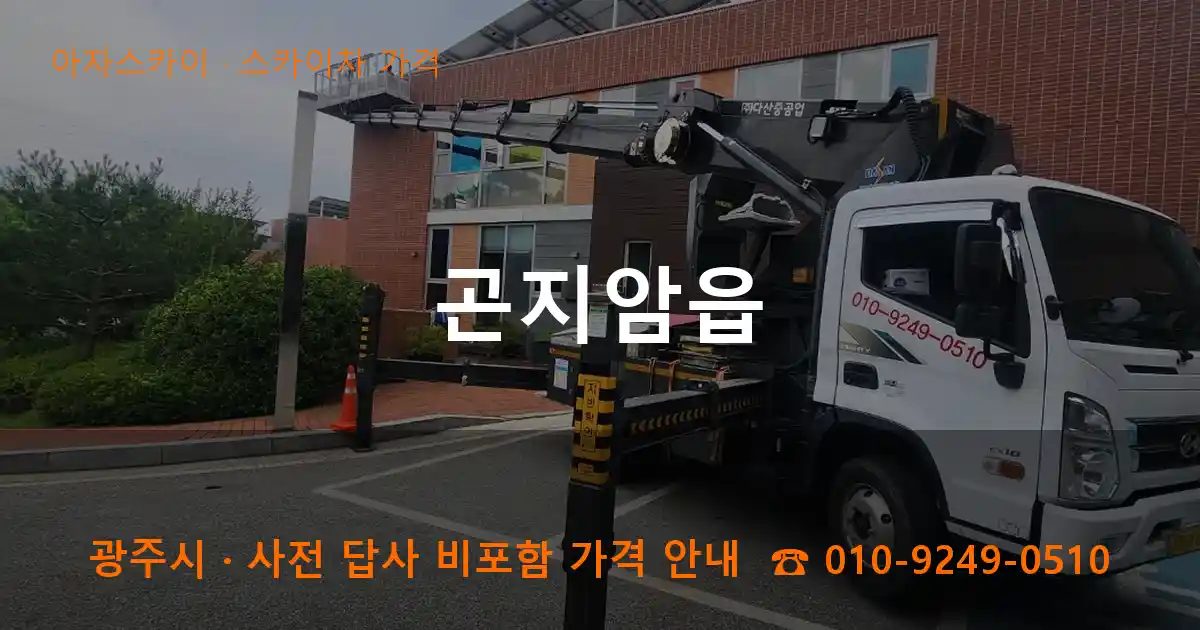 광주시 곤지암읍 스카이차 가격 작업