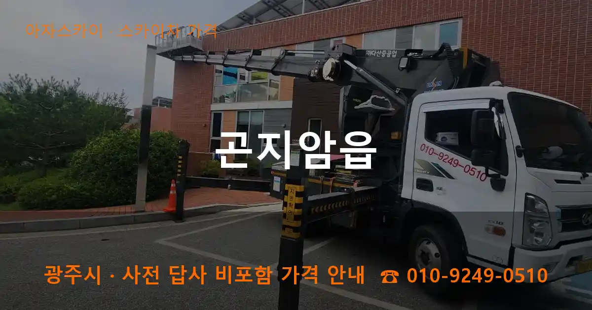 광주 곤지암읍 스카이차 가격 작업