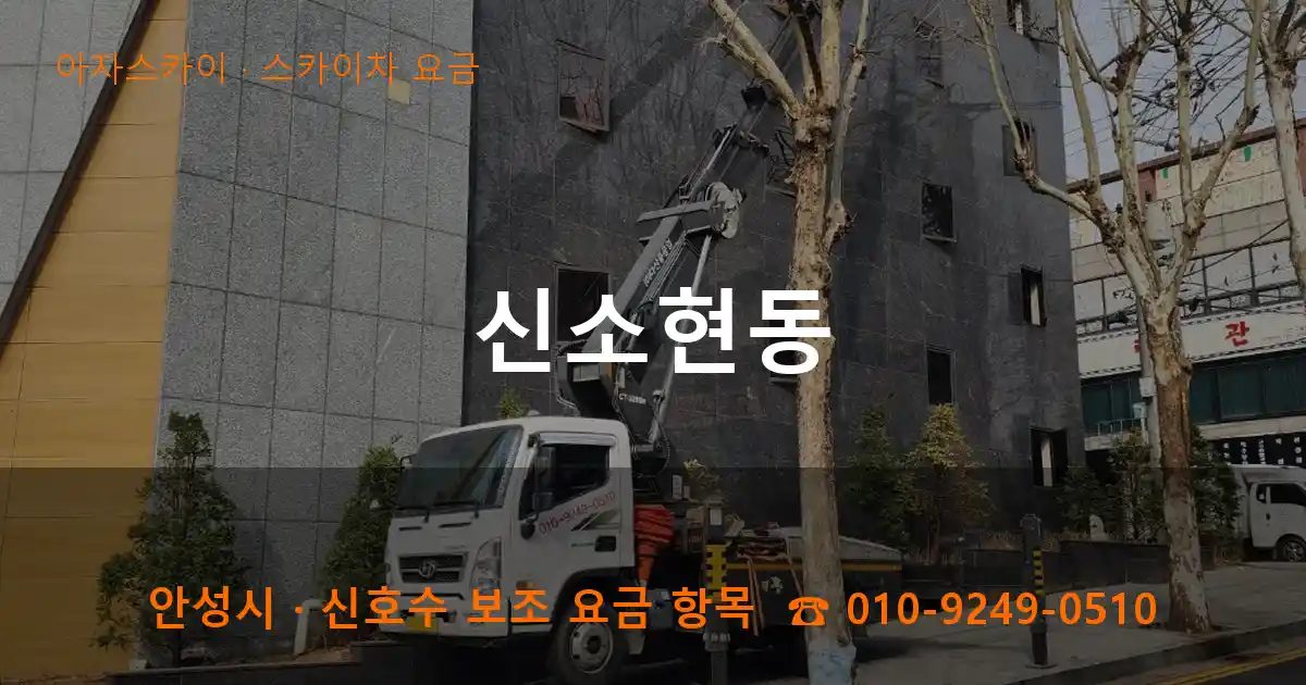 안성시 신소현동 스카이차 요금 작업