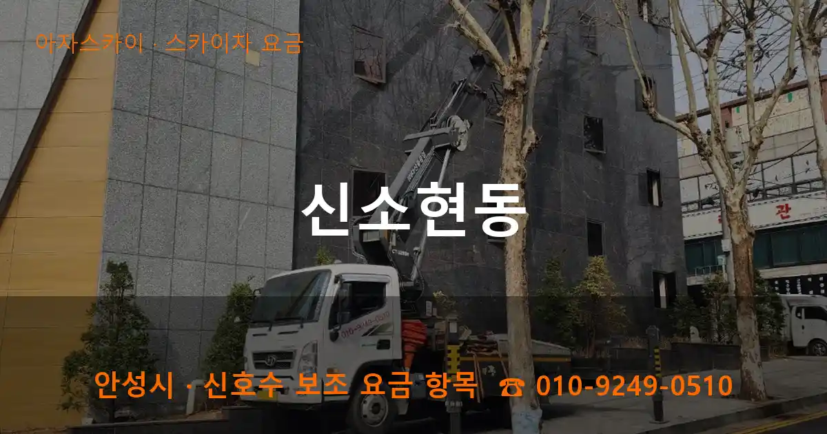 안성 신소현동 스카이차 요금 작업