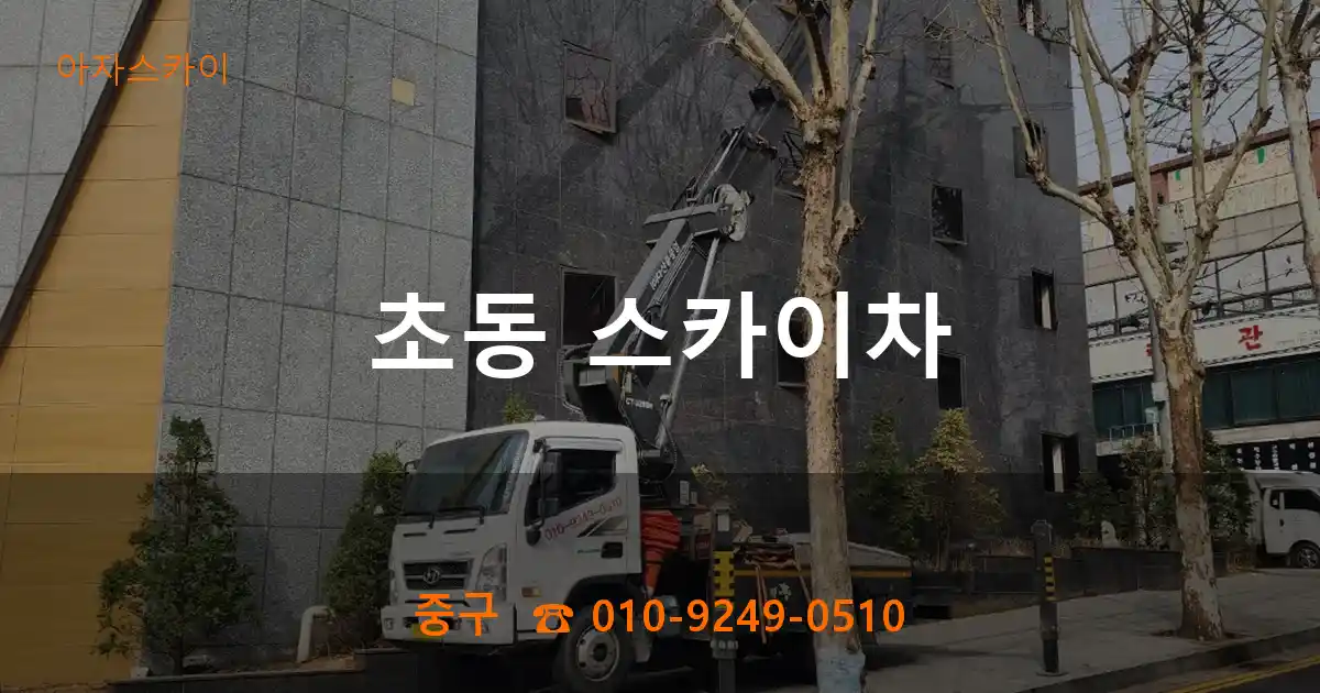 중구 초동 스카이차