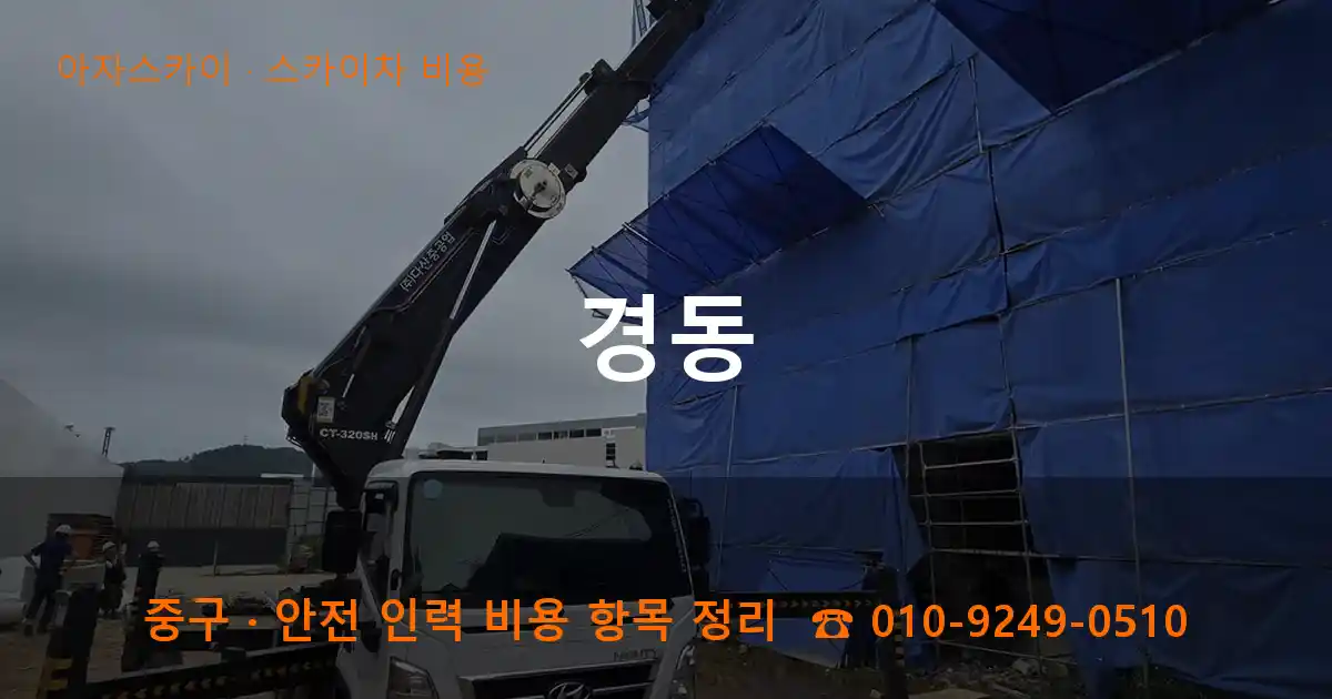 중구 경동 스카이차 비용 작업