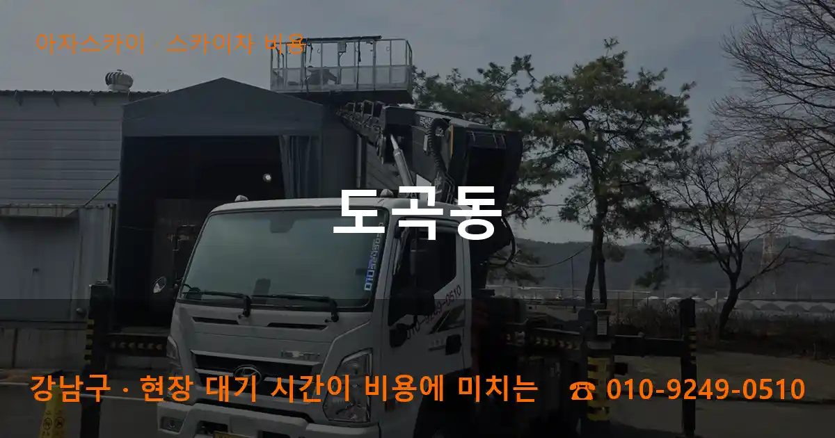 강남구 도곡동 스카이차 비용 작업
