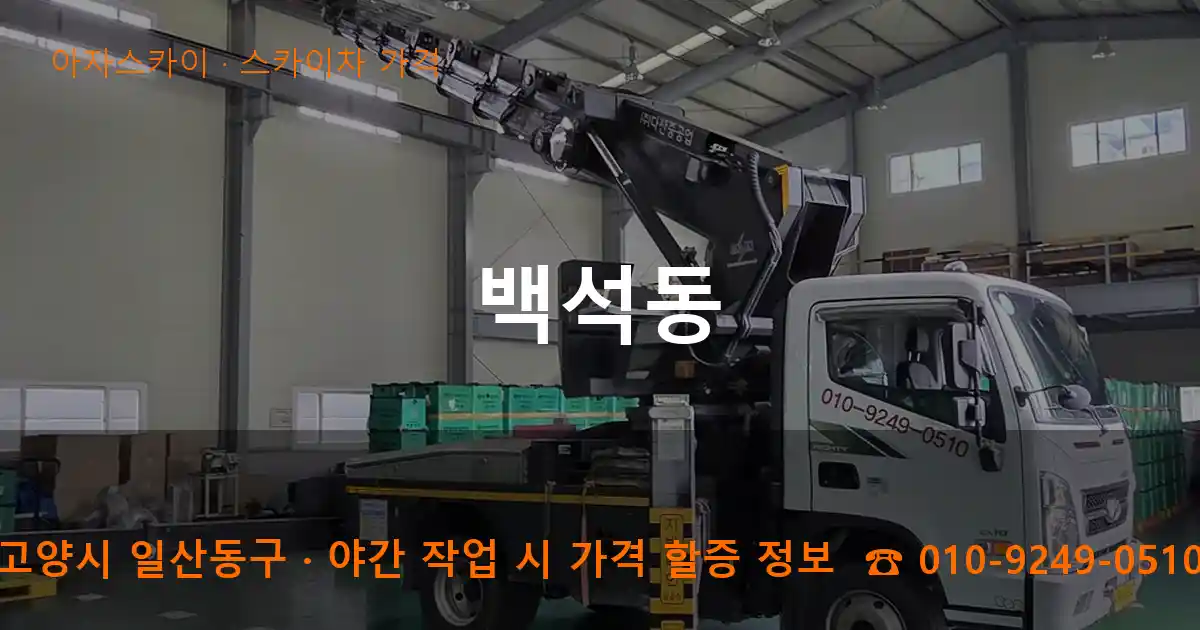 고양시 일산동구 백석동 스카이차 가격 작업