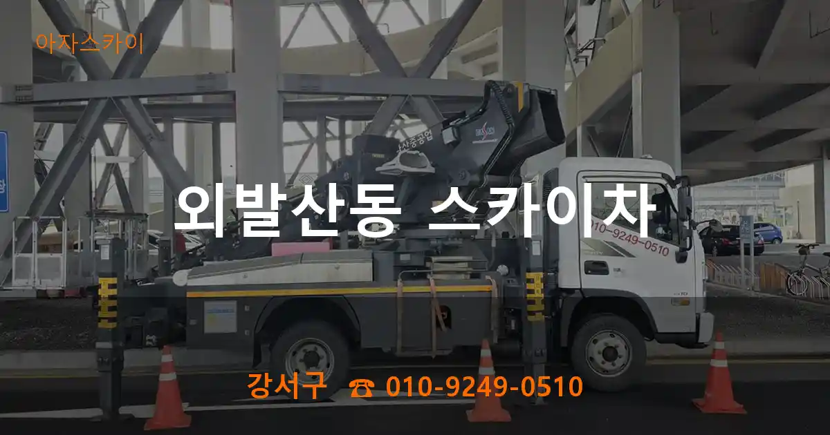 강서구 외발산동 스카이차