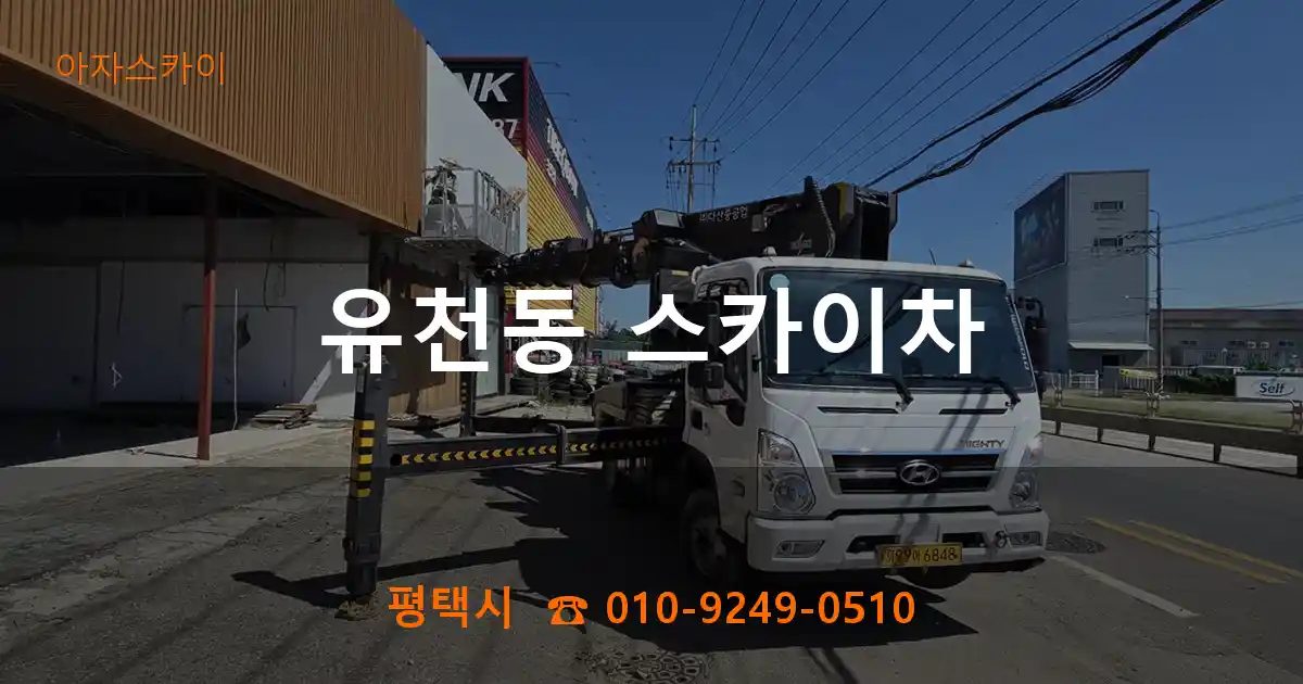 평택시 유천동 스카이차