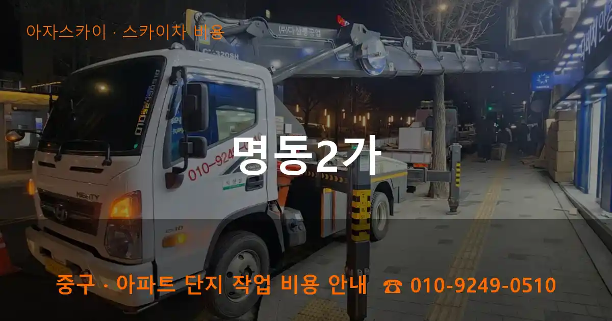 중구 명동2가 스카이차 비용 작업