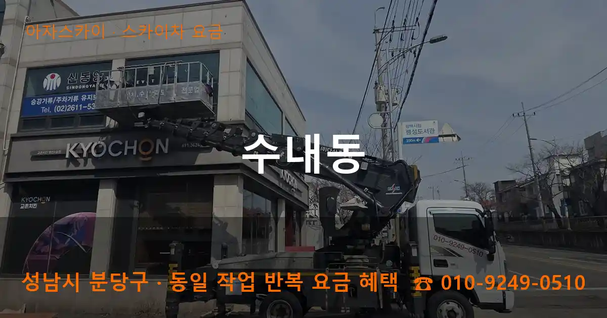 성남 분당구 수내동 스카이차 요금 작업
