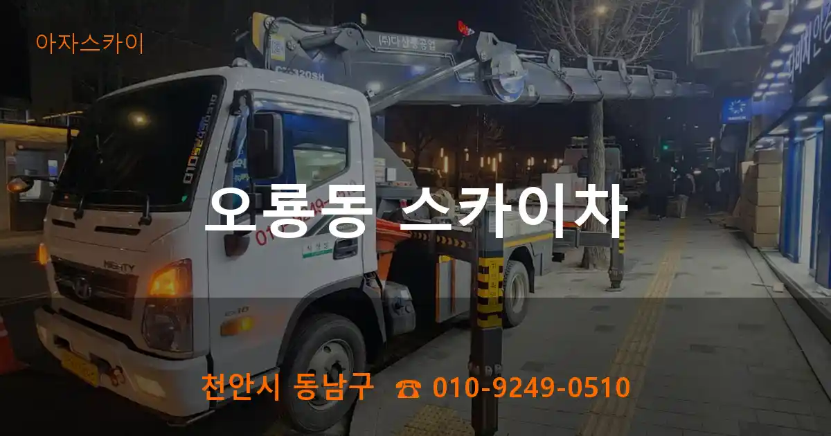 천안시 동남구 오룡동 스카이차