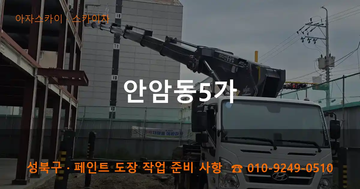 성북구 안암동5가 스카이차 작업
