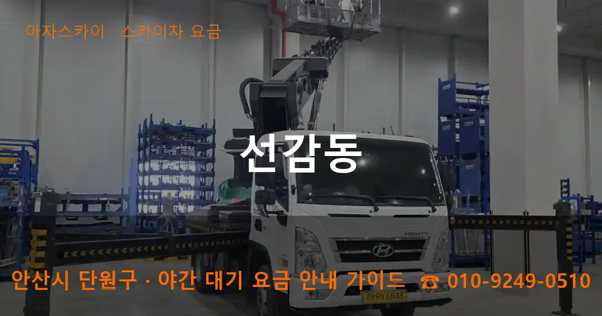 안산 단원구 선감동 스카이차 요금 작업